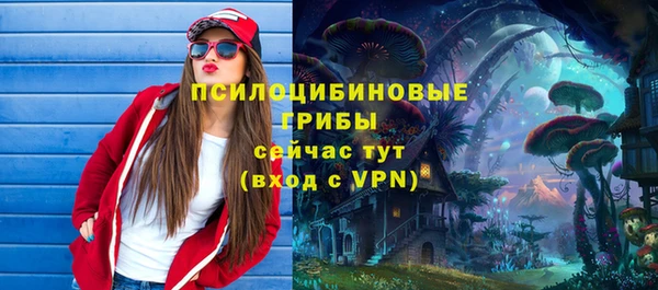 дмт Богданович