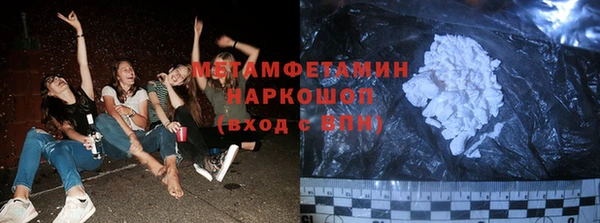 дмт Богданович