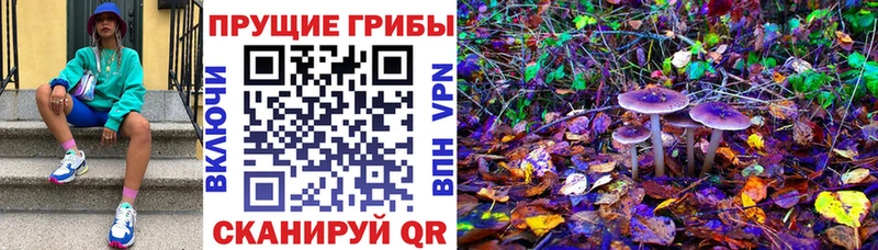 купить закладку  Бобров  Галлюциногенные грибы Cubensis 